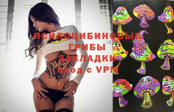 ГАЛЛЮЦИНОГЕННЫЕ ГРИБЫ Нея