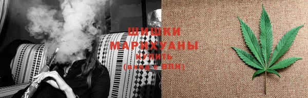 гидра Надым