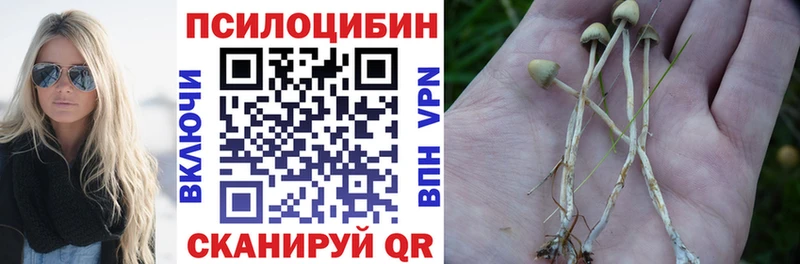 Галлюциногенные грибы Psilocybe  мориарти какой сайт  Бобров  наркота 